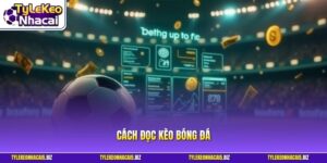 Cách Đọc Kèo Bóng Đá - Quy Trình Chi Tiết Cho Người Mới