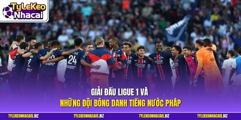 Giải đấu Ligue 1 và những đội bóng danh tiếng nước Pháp 
