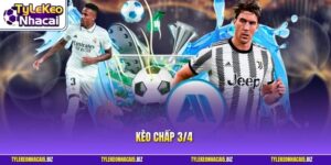 Kèo Chấp 3/4 - Tuyệt Chiêu Soi Odds Để Có Thể Về Bờ An Toàn
