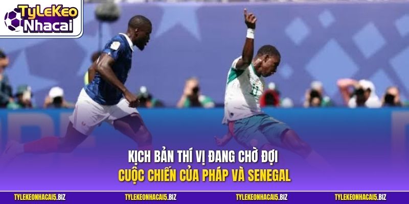 Kịch bản thí vị đang chờ đợi cuộc chiến của Pháp Và Senegal 